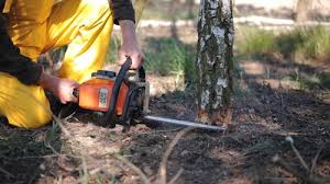Lawn Grading and Leveling in Augusta, WI